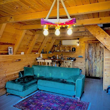 Sataplebungalov Çamlıhemşin المظهر الخارجي الصورة